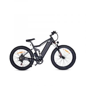 Fat electric bike​